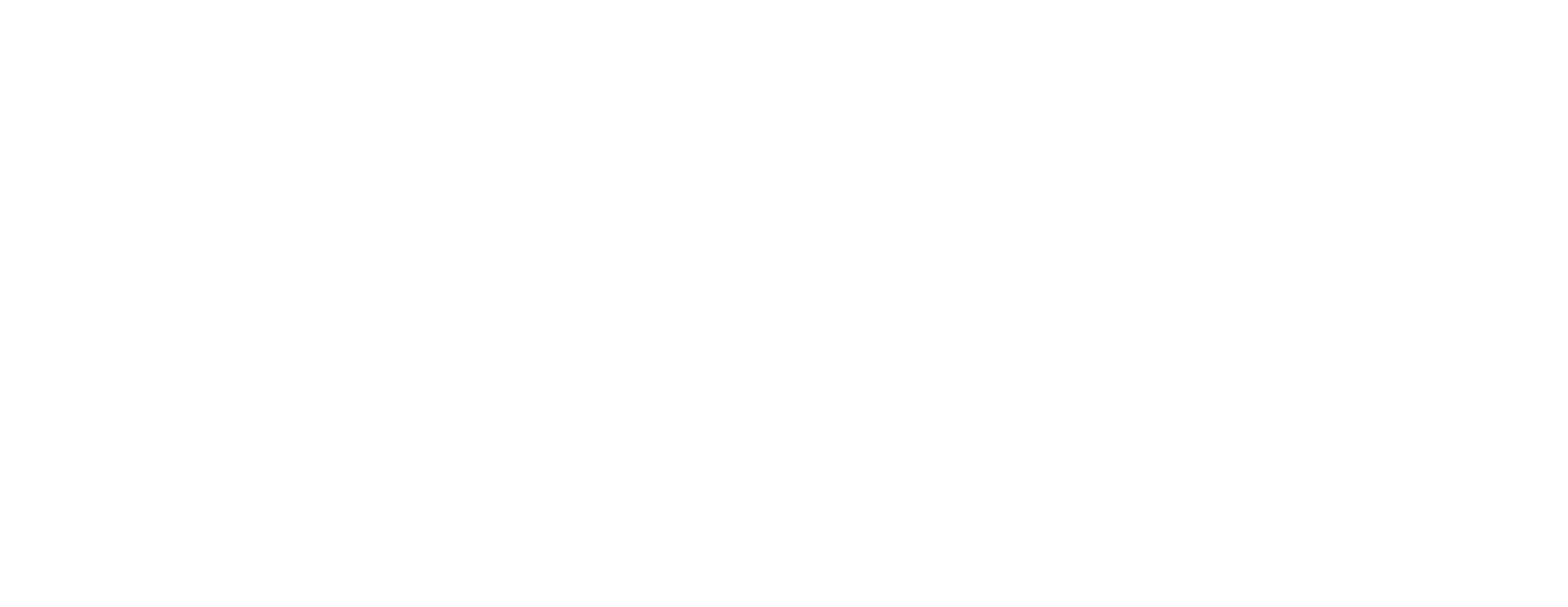 Sidekick Wellness Logo